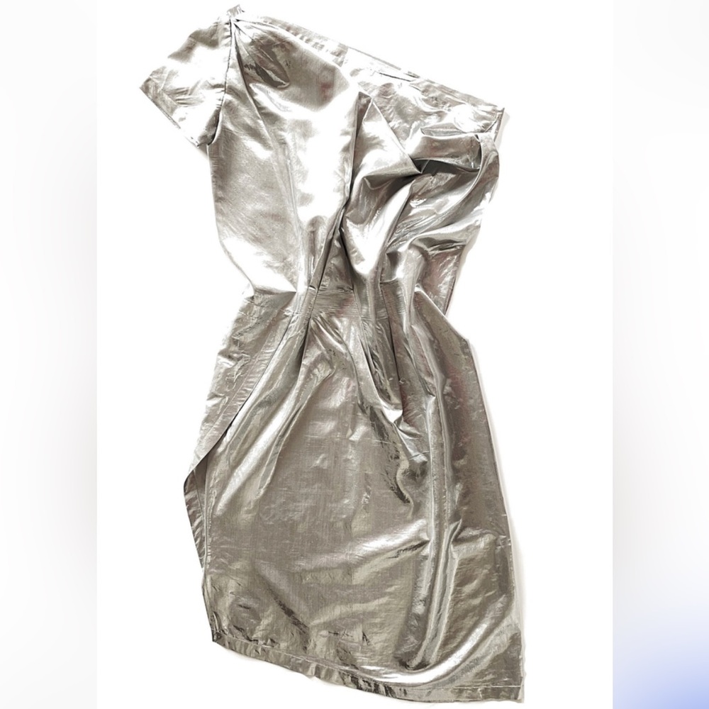 MaxMara Silver Dress